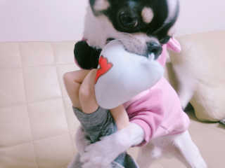HyeSongYoon님이 올린 리뷰 사진 3
