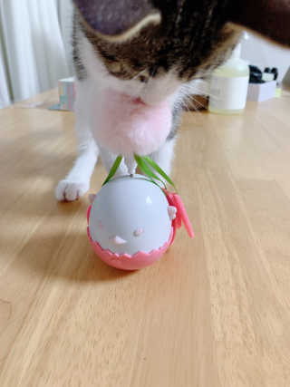 hyoya님이 올린 리뷰 사진 1