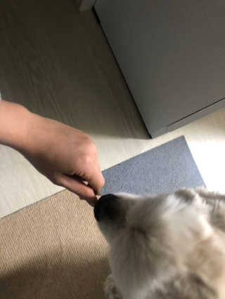 치치어뭉님이 올린 리뷰 사진 4