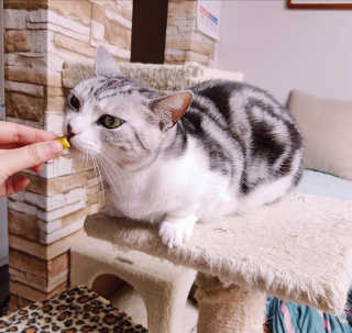 이설희님이 올린 리뷰 사진 3