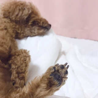 단비비비빕님이 올린 리뷰 사진 2
