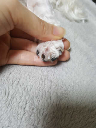 둥가둥가우리도도님이 올린 리뷰 사진 2