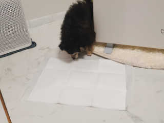 김이설님이 올린 리뷰 사진 2