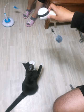 yooni님이 올린 리뷰 사진 2
