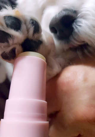 sodia35님이 올린 리뷰 사진 2