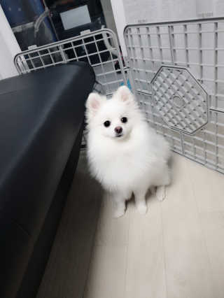 찌요니님이 올린 리뷰 사진 3