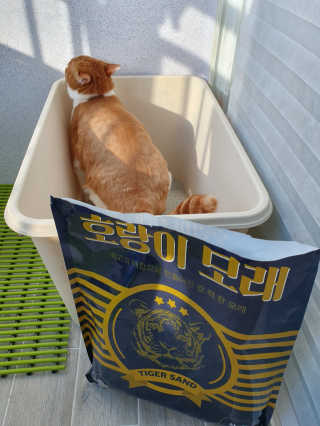 Jaehoon.y님이 올린 리뷰 사진 1