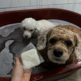은지짱님이 올린 리뷰 사진 2