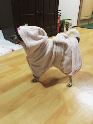 아이스크림님이 올린 리뷰 사진 1