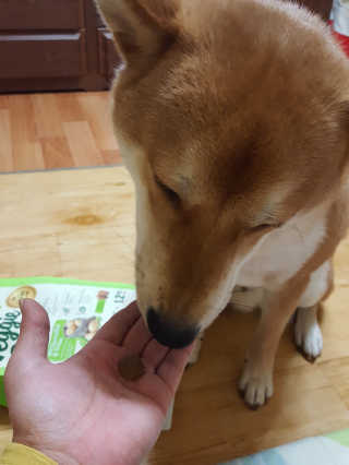 컴백08리터님이 올린 리뷰 사진 2