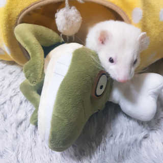시나마나애영님이 올린 리뷰 사진 1