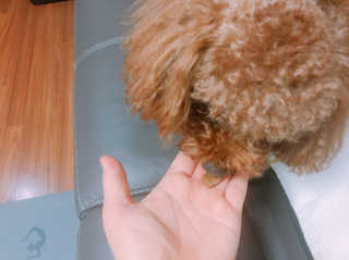 이람람님이 올린 리뷰 사진 3