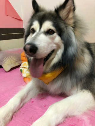 김현진님이 올린 리뷰 사진 2