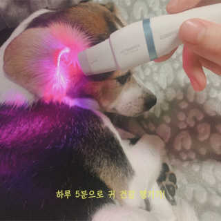 노나나님이 올린 리뷰 사진 3