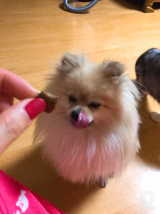 민토리님이 올린 리뷰 사진 3