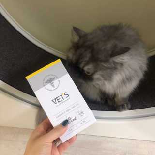 코방울님이 올린 리뷰 사진 2