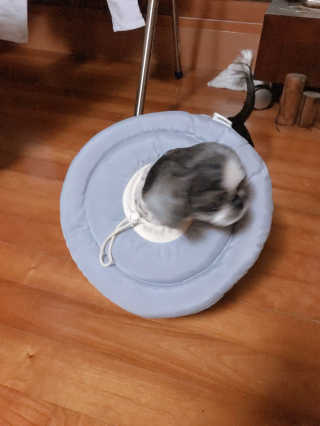 응삐님이 올린 리뷰 사진 2