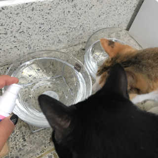 kelly님이 올린 리뷰 사진 4