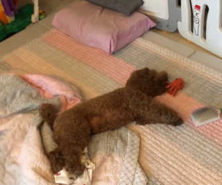 mongswelyeojunmom님이 올린 리뷰 사진 3