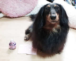 원말삼닥님이 올린 리뷰 사진 1