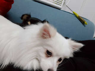 KimJoMania님이 올린 리뷰 사진 4