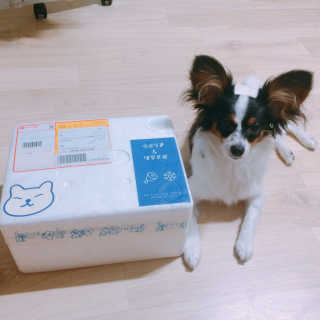 제주도에서 온 깨끗한 친환경 반려동물 음식 어글어글 — 5점을 준 리뷰어가 2018년 7월 올린 사용 사진