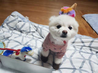 쑤니짱님이 올린 리뷰 사진 2