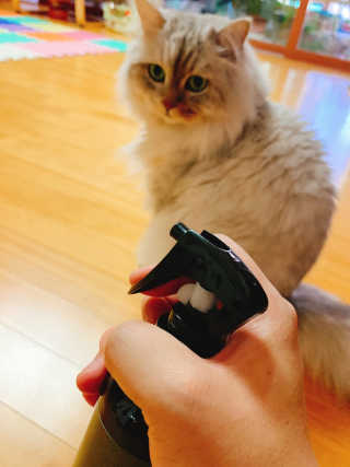 nami님이 올린 리뷰 사진 1