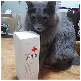 [펫토리아]살균뚝딱 강아지 고양이 살균소독제 탈취제 — 5점을 준 리뷰어가 2019년 10월 올린 사용 사진