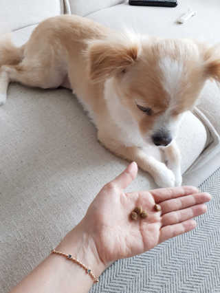 jina2744님이 올린 리뷰 사진 2