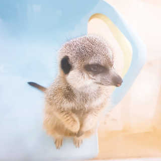 효니님이 올린 리뷰 사진 1