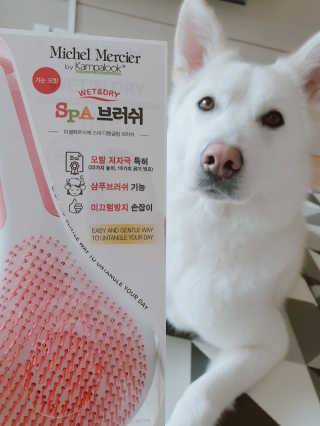 딸랑구둘🥰님이 올린 리뷰 사진 3