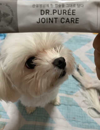 새초미님이 올린 리뷰 사진 1