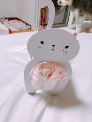 한지님이 올린 리뷰 사진 4