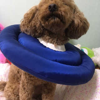 은치치님이 올린 리뷰 사진 3