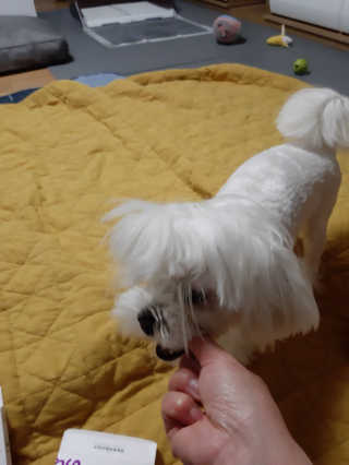 꿍님이 올린 리뷰 사진 3