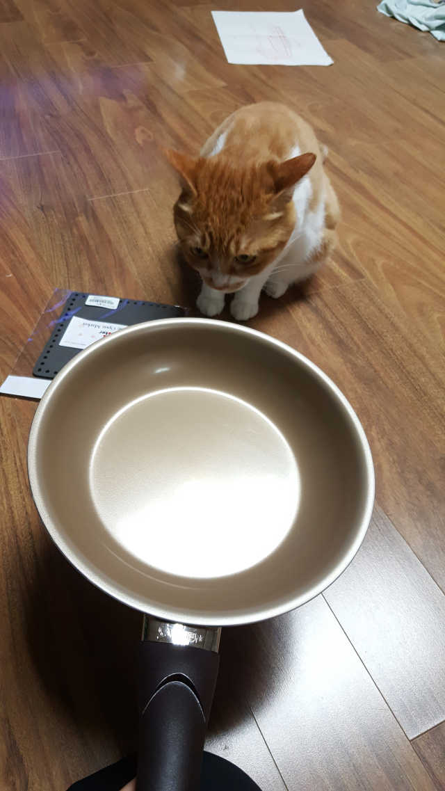 네버스틱 후라이팬 22cm 리뷰 사진