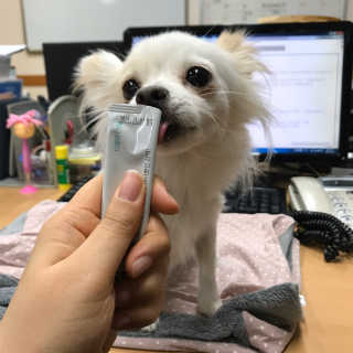 쏭블리님이 올린 리뷰 사진 1