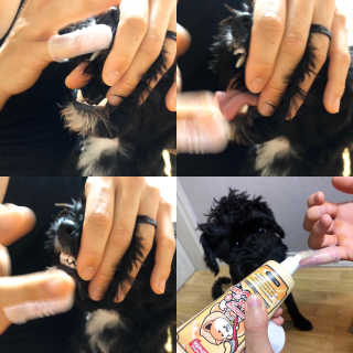 유짱님이 올린 리뷰 사진 2