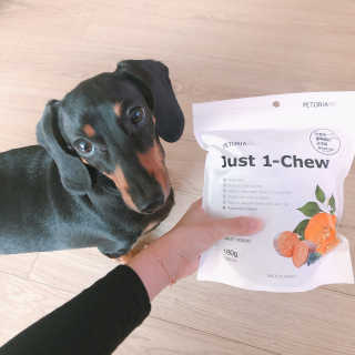 [펫토리아] 한입뚝딱 혼합 덴탈츄 Just 1-Chew — 4점을 준 리뷰어가 2020년 3월 올린 사용 사진