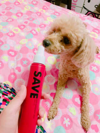 lovelyhyonchi님이 올린 리뷰 사진 2
