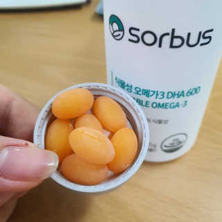 소버스 식물성 오메가3 DHA 600 — 5점을 준 리뷰어가 2020년 3월 올린 사용 사진