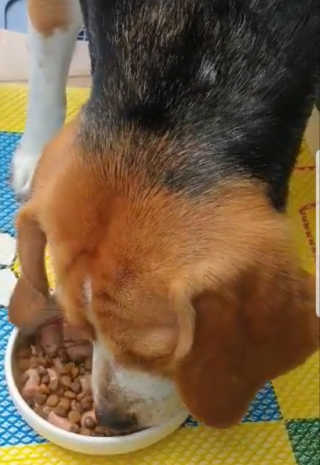 beaglelove님이 올린 리뷰 사진 4