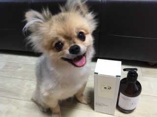 Ariel님이 올린 리뷰 사진 3