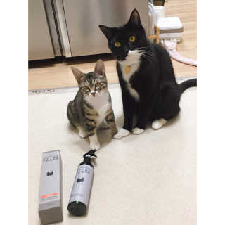 Eunhye님이 올린 리뷰 사진 1