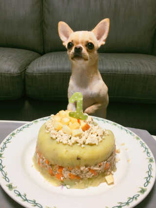 하얀비님이 올린 리뷰 사진 4