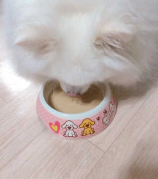 구르미별별님이 올린 리뷰 사진 2