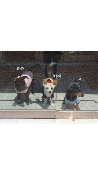 Eunhye님이 올린 리뷰 사진 4