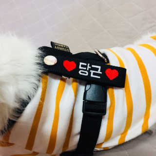 당근님이 올린 리뷰 사진 1