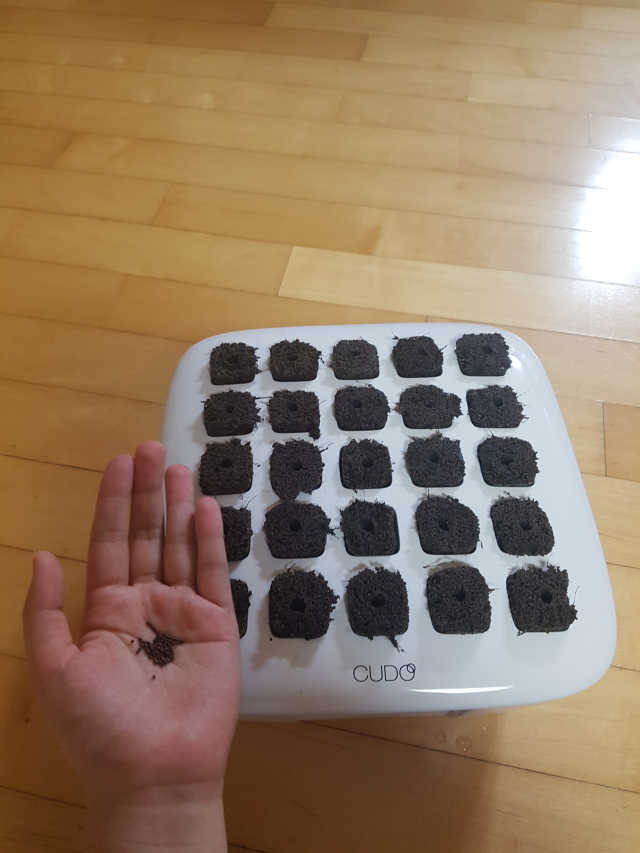 쿠도 리뷰 사진